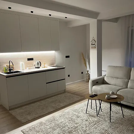 Altum Sarajevo-free Private Parking Daire Saraybosna